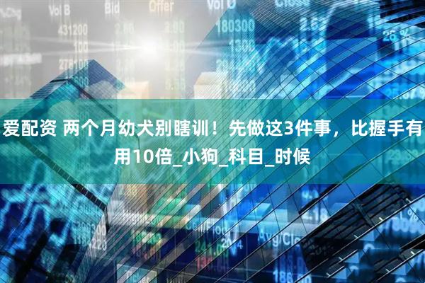 爱配资 两个月幼犬别瞎训！先做这3件事，比握手有用10倍_小狗_科目_时候
