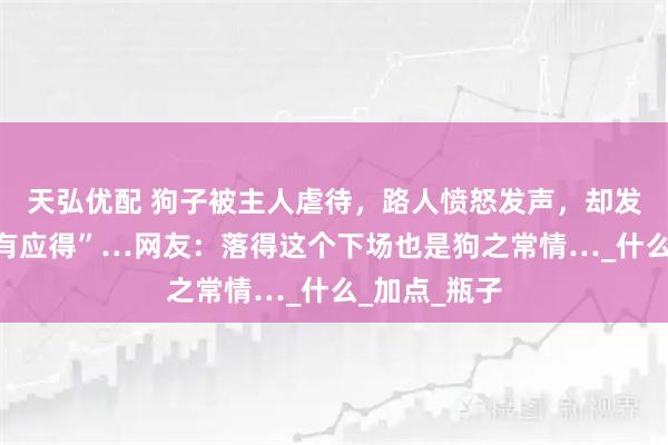 天弘优配 狗子被主人虐待，路人愤怒发声，却发现狗子“罪有应得”…网友：落得这个下场也是狗之常情…_什么_加点_瓶子