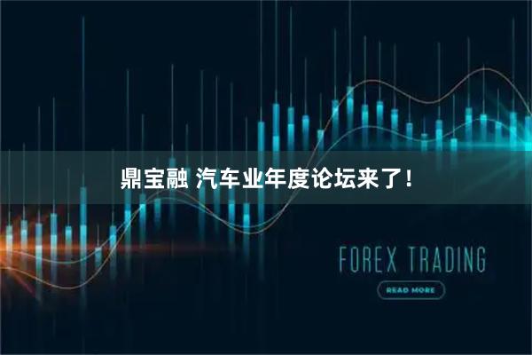 鼎宝融 汽车业年度论坛来了！